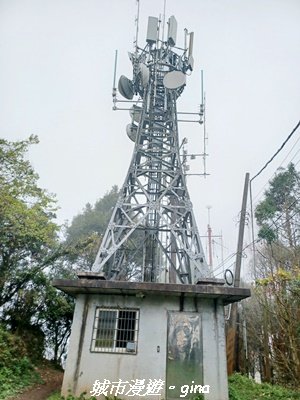 【新竹竹東】五指山登山步道3004821