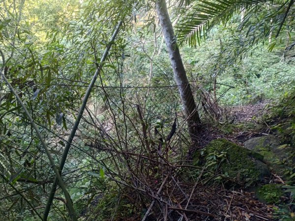 嚼嚼斯古道，嚼嚼斯部落遺址，鱉頭山2606051