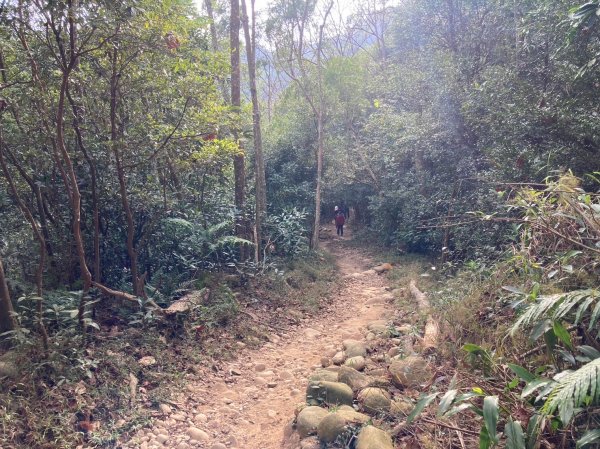 火炎山登山步道2386042