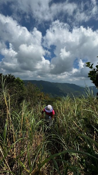 石龜山、叢雲山O走2592632