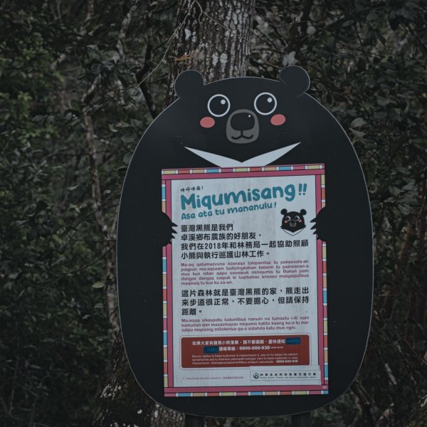 瓦拉米步道-佳心營地住一晚2708454