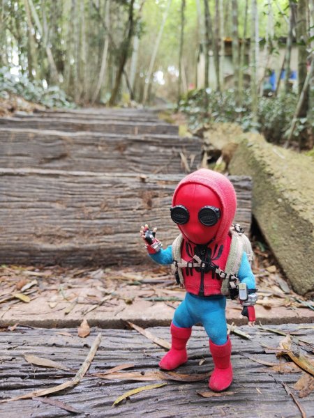 2023.12.23 梨子腳山2833261