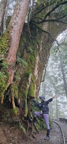 太平山翠峰湖見晴懷古步道2629009