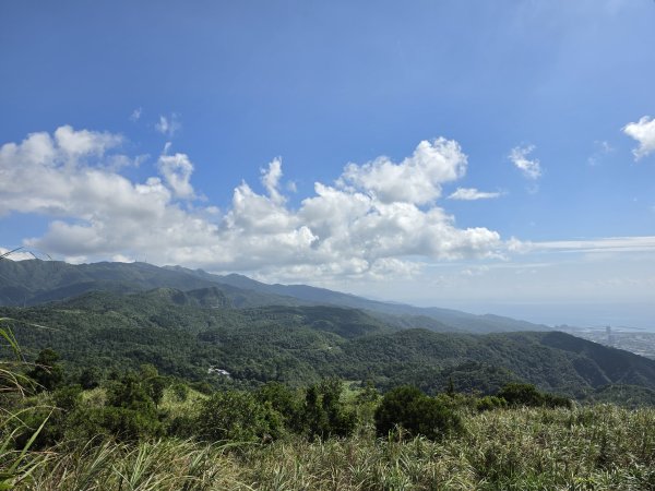 小百岳No.84⛰鵲子山3113088