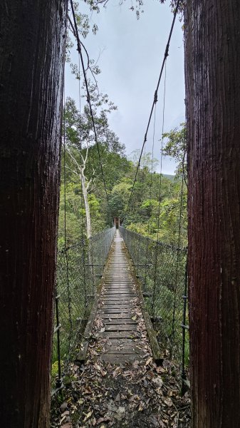 【美美兔走山趣】瓦拉米單攻27.2K-神人級路線。2773394