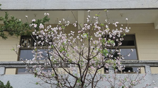彌勒內院3038356