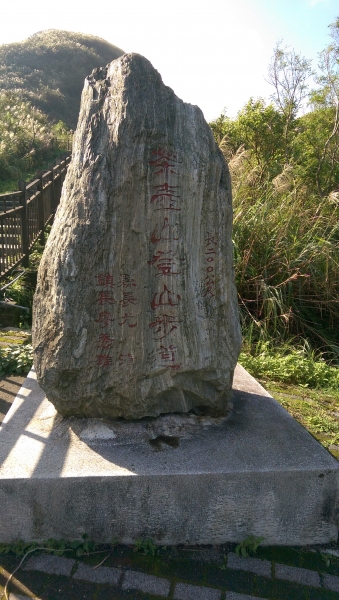 無耳茶壺山芒花季82078