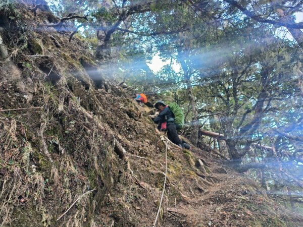 20240320 馬博8天縱走~第五天，馬里亞文路山，馬利加南山2471186