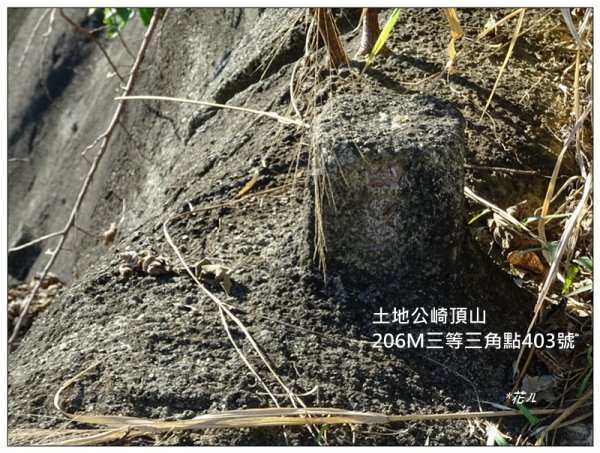 土地公崎頂山(嘉義-番路)1573450