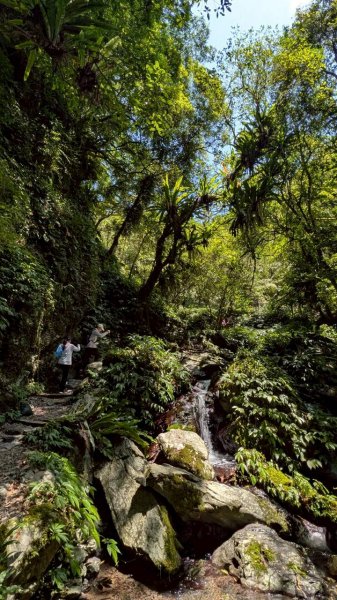 三角崙山、聖母登山（抹茶山）步道3067691