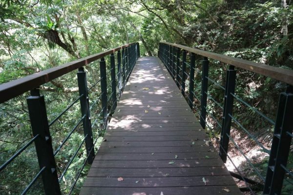 〔花蓮〕布洛灣吊橋+伊達斯步道+環流丘步道。一次走好走滿的布洛灣壯麗景觀步道2266350