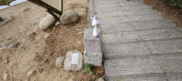 2026/02/27-荷苞山登山步道3010039