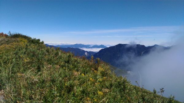 合歡山百岳入門299784