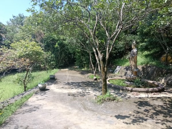 內湖區大丘田保甲路+開眼山+白石湖山+白石湖山東峰+大邱田山+消防山O型2858886