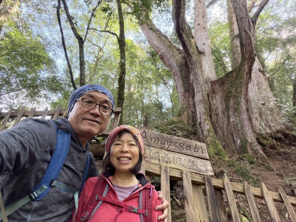 鎮西堡巨木步道B區全段+A區部分3008517