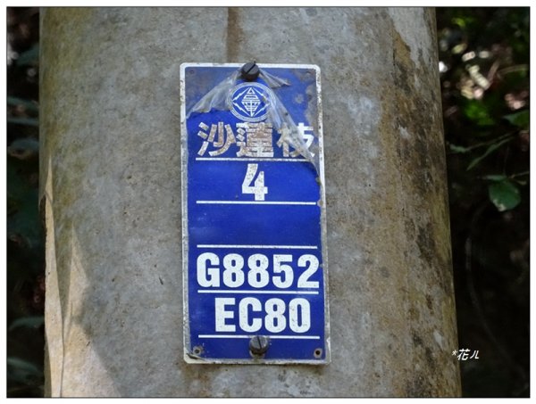 沙蓮山西南峰、砂連山連走(台中/和平)1664183