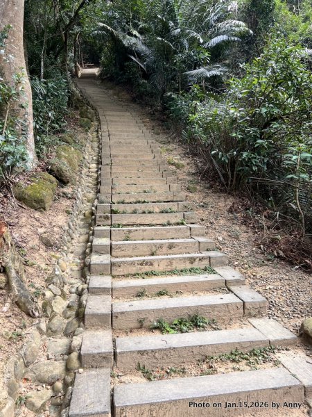 【新竹＋苗栗】猿獅縱走2989057