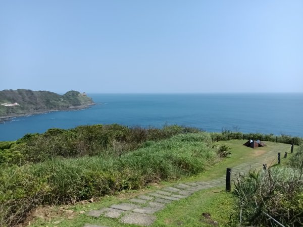 貢寮區龍洞灣岬步道+大禮堂海岸+釣客小徑+金沙灣碉堡野百合2765123