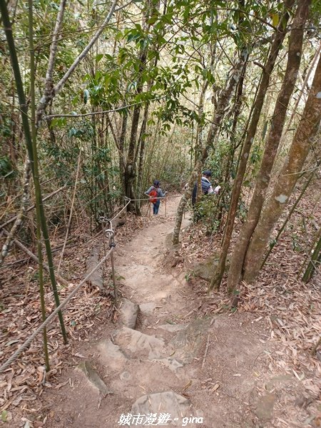 【台中和平】 雙崎部落款款行。 埋伏坪登山步道 (埋伏坪山)2082111