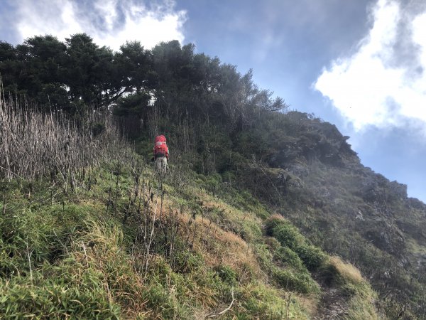 能高。安東軍｜水鹿大軍1120749