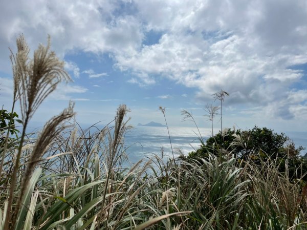 隆隆山萊萊山封面