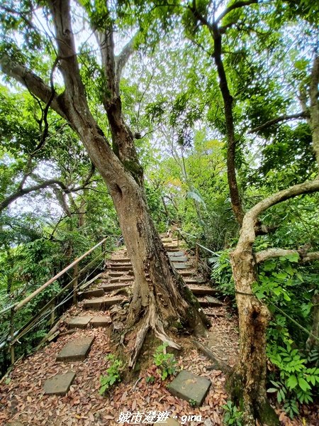 【台中北屯】走步道洗塵心。 No42小百岳南觀音山x青春嶺2196471