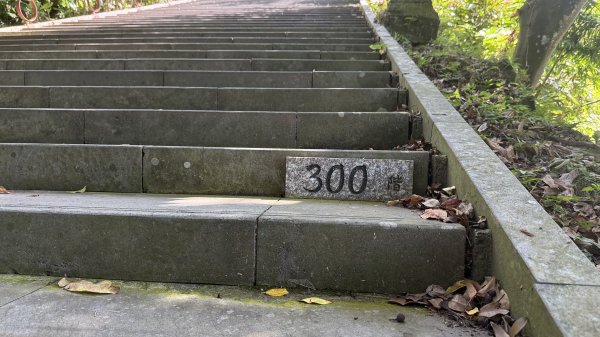 2025/10/15 台北大縱走第7段2916479