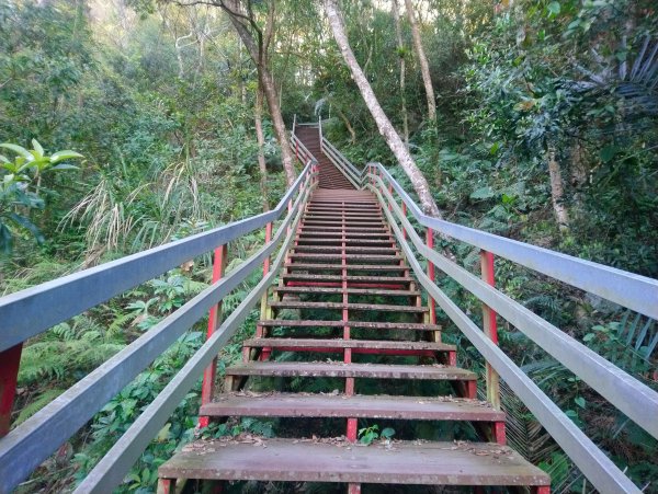 虎山 由易到難 漸進式 健身步道855710