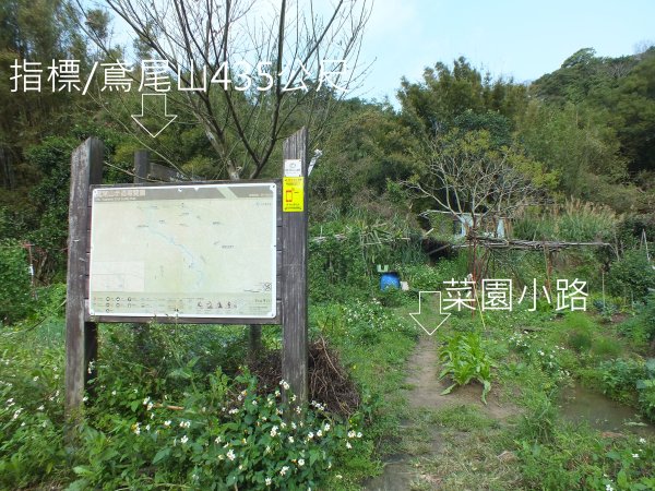三峽區鳶尾山+福德坑東峰+福德坑山+鳶山彩壁+五十分山+壽山+龍山寺2775746