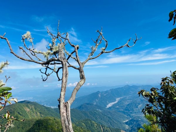 鳶嘴山-稍來山O型縱走(中級山 / 小百岳) 刺激攀岩。山嵐繚繞。傳神小象。杉樹林群。2583516