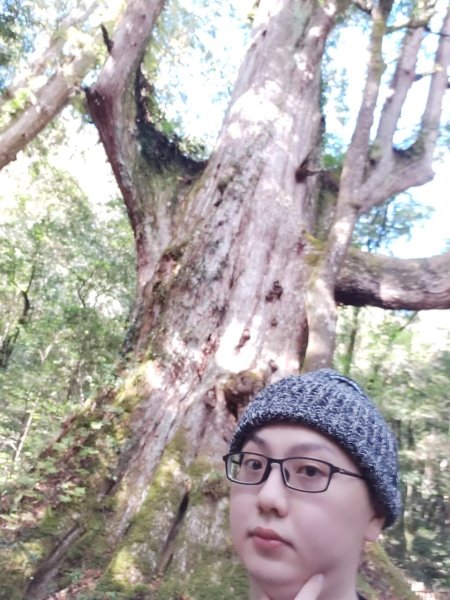 中級山-司馬庫斯2888971