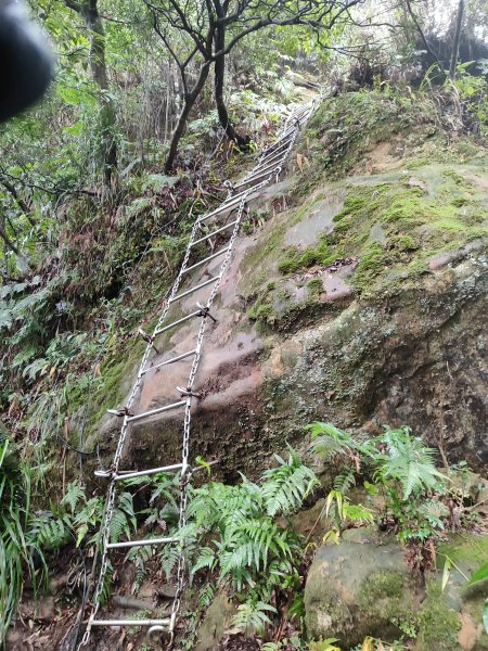 微笑山線：【二格山系】皇帝殿稜線段2955975