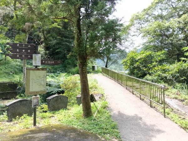 平溪區東勢格越嶺古道+孝子山步道(慈恩嶺+慈母峰)探花(艷紅鹿子百合)路線O型