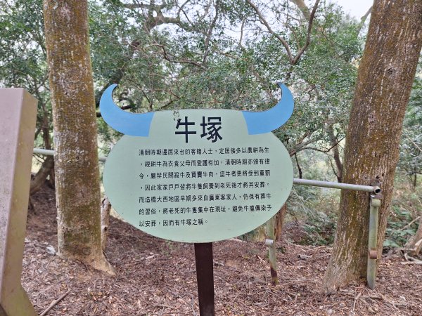 劍潭古道202503122734305