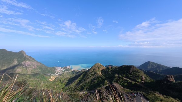 黃金三稜賞芒花2950866