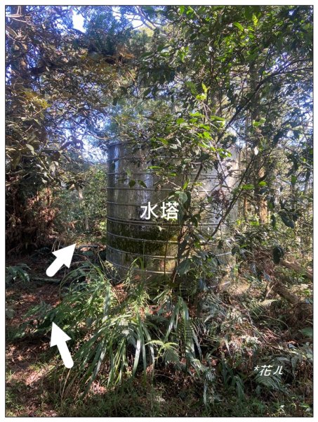 逐鹿古道、雨社山(南投、魚池)2667438