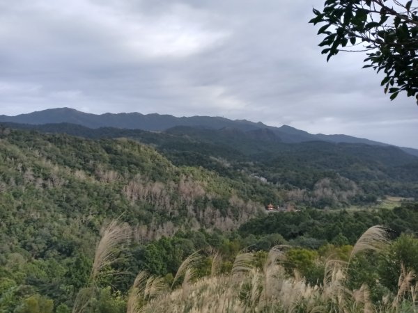 頭城鎮圓通寺+鴻子山東北峰+鴻子山+後湖子山林道+五峰旗山+840峰+水鴨池+水鴨崙+圓通寺O型2983771