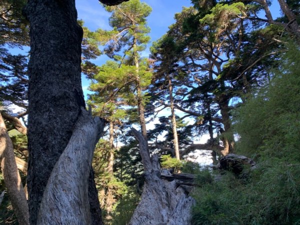 逆走雪山西稜下志佳陽1041395