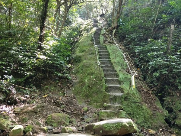 孝子山 慈母峰 普陀山1104679