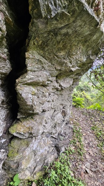 【美美兔走山趣】瓦拉米單攻27.2K-神人級路線。2773395