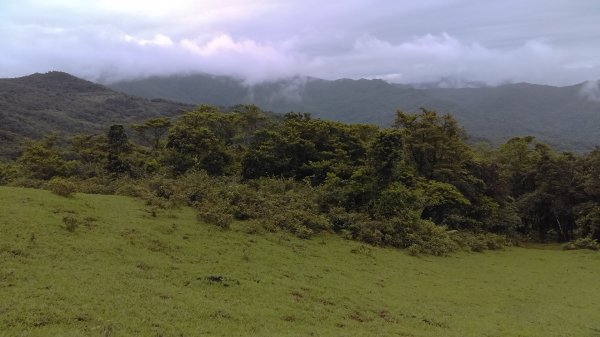 【東北角生態步道尋寶石】 桃源谷步道內寮線,草嶺線,大溪線 3-1963223