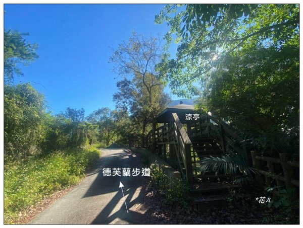 北松鶴山、德芙蘭步道 (台中 和平)2922122