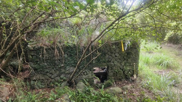 20250719遠景古道-雞母嶺古道(雞母嶺街-三叉港-土地公嶺山-雙澳崙)2841152