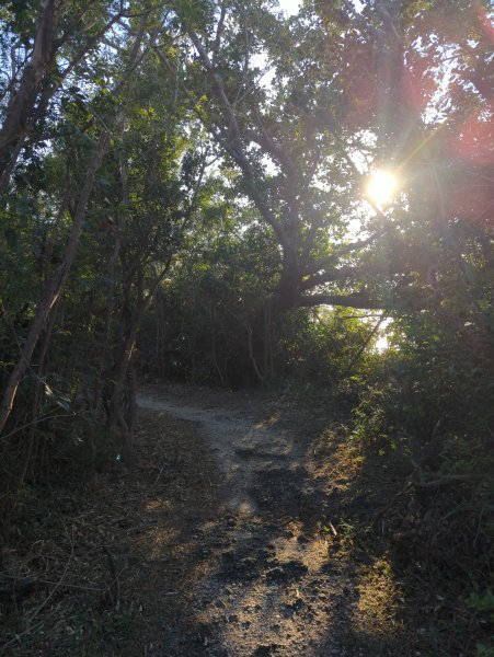 2025.01.29－新年走春：墾丁龜山2706140