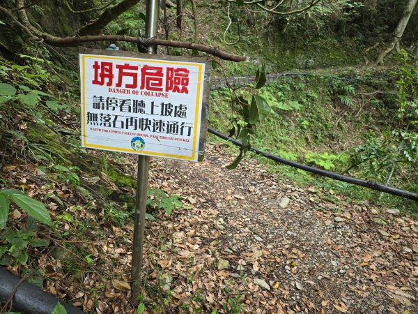 觀高山屋／龍貓公車／八通關山／八通關山西峰2927366