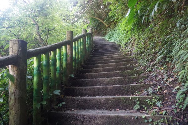 臺北大縱走7：幽徑踏青探仙神1255227