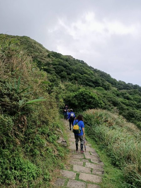 【新北－臺灣百大必訪步道】草嶺古道3-21137295