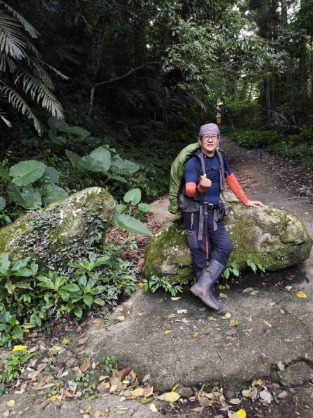 外鳥嘴蓮包山O縱2893166