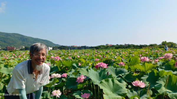 雲山水花鳥蝶 - 天龍國阿伯的日常7/18 & 21、22、292554022