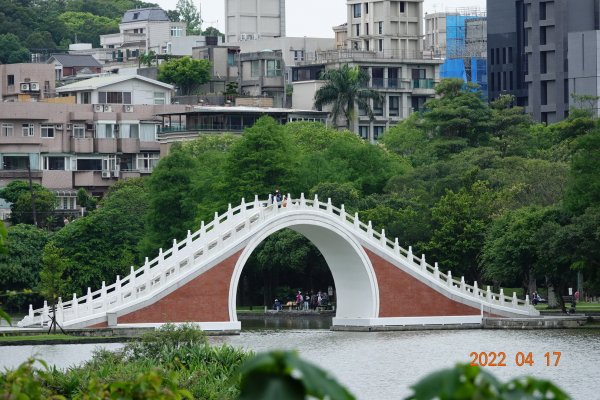 臺北 內湖 白鷺鷥山1680513